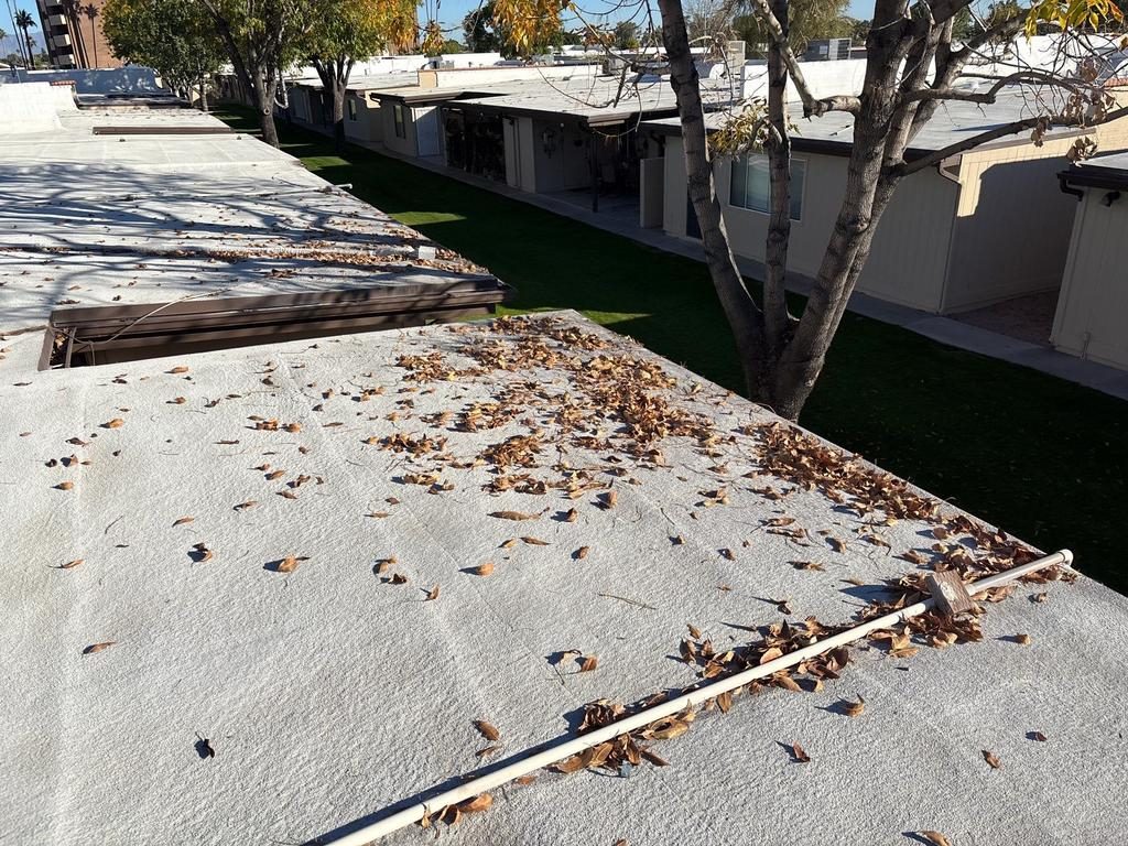 CS11 7 Roof-level before photo showing leaf debris and a dirty foam roof surface across an occupied Mesa multifamily community