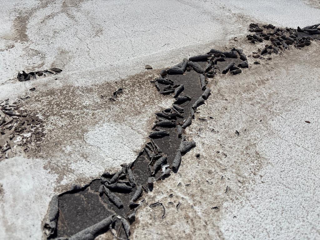 CS19 1 Before photo of a Gilbert commercial roof with the elastomeric coating peeled and curled off along a crack, exposing the dark cap sheet substrate underneath