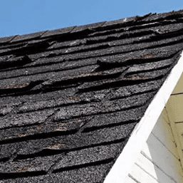 CLUE 4 Shingle Damage