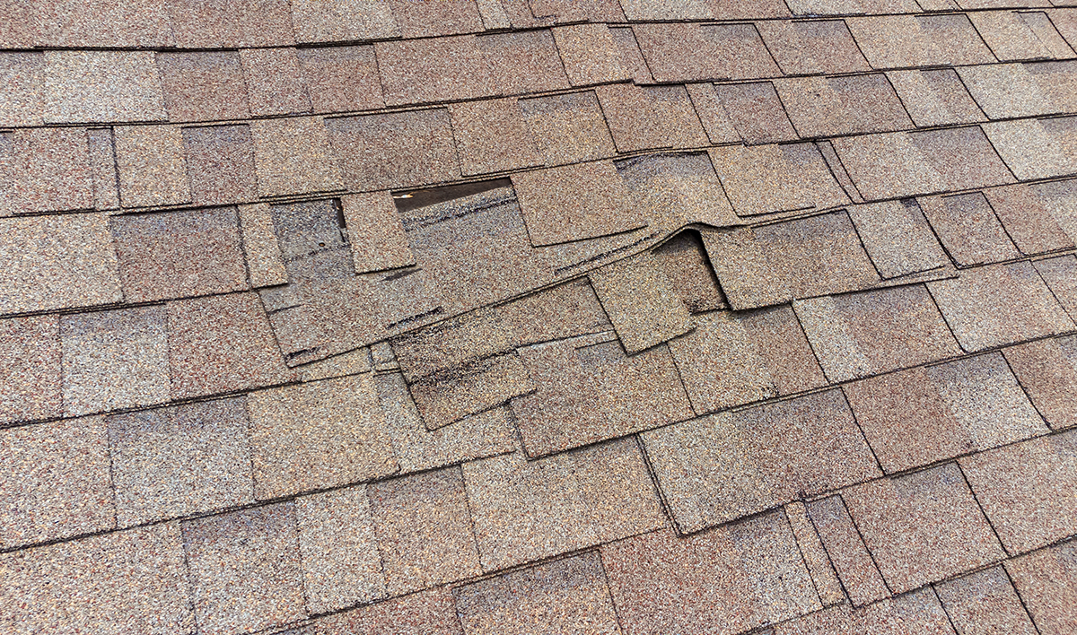 Damaged Roof Shingles