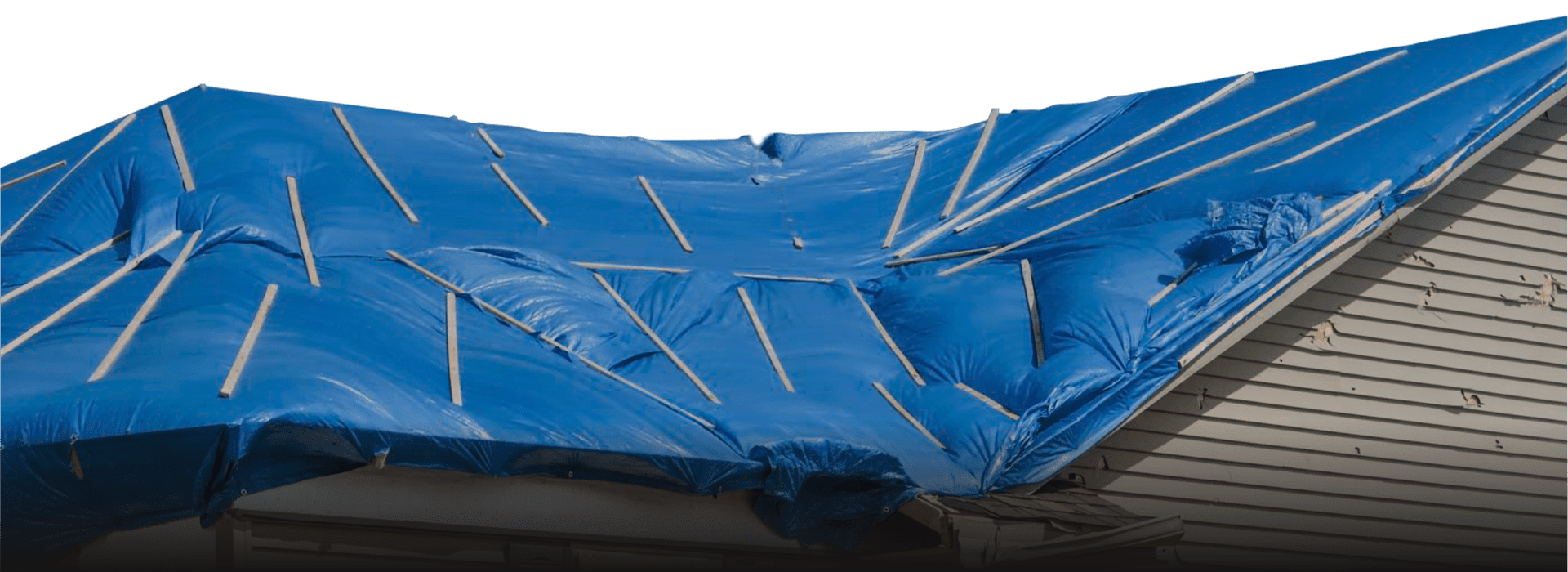 Emergency Transparent Tarp Black e1603149793117