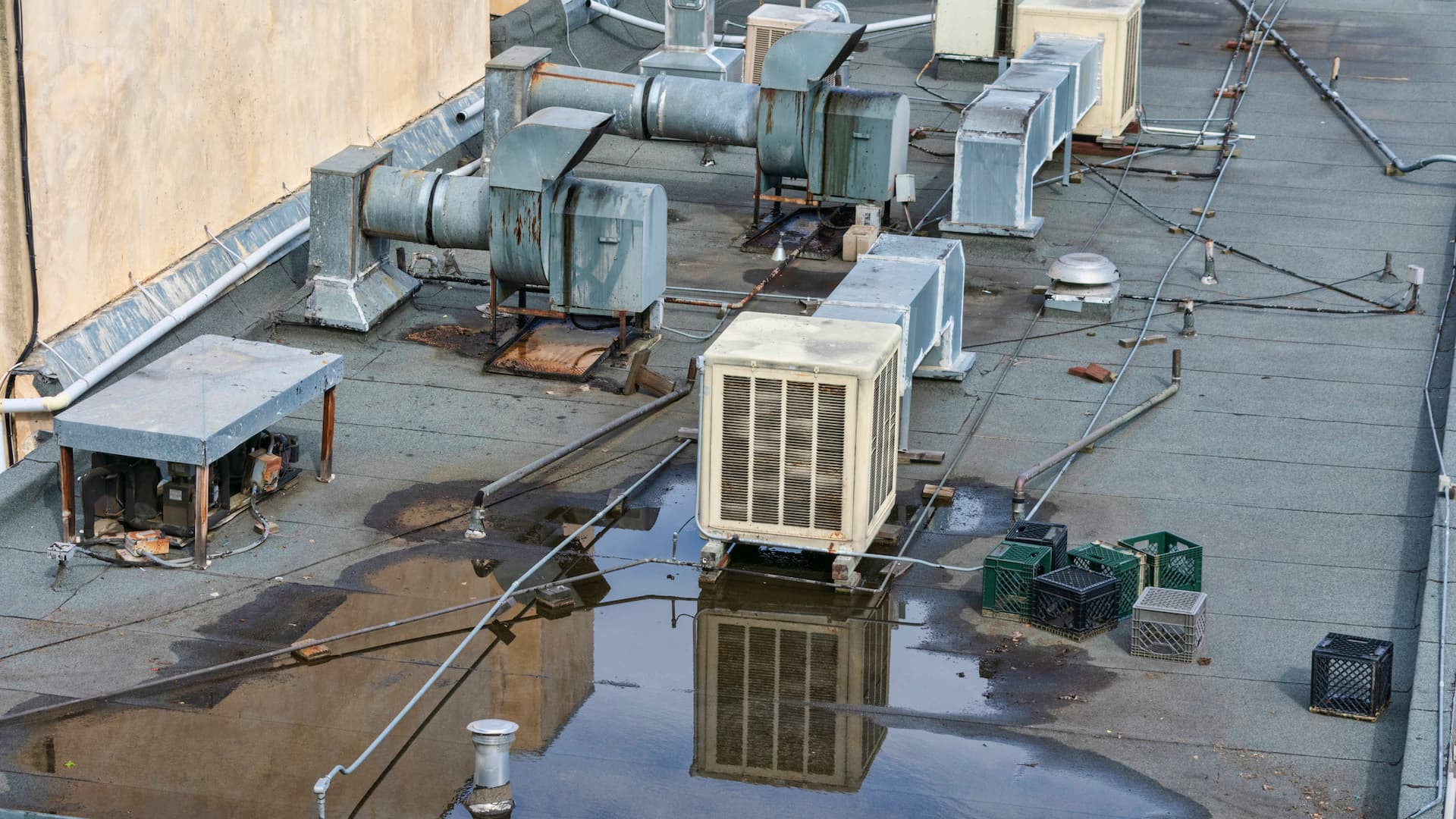 New Roof 01 Leaks