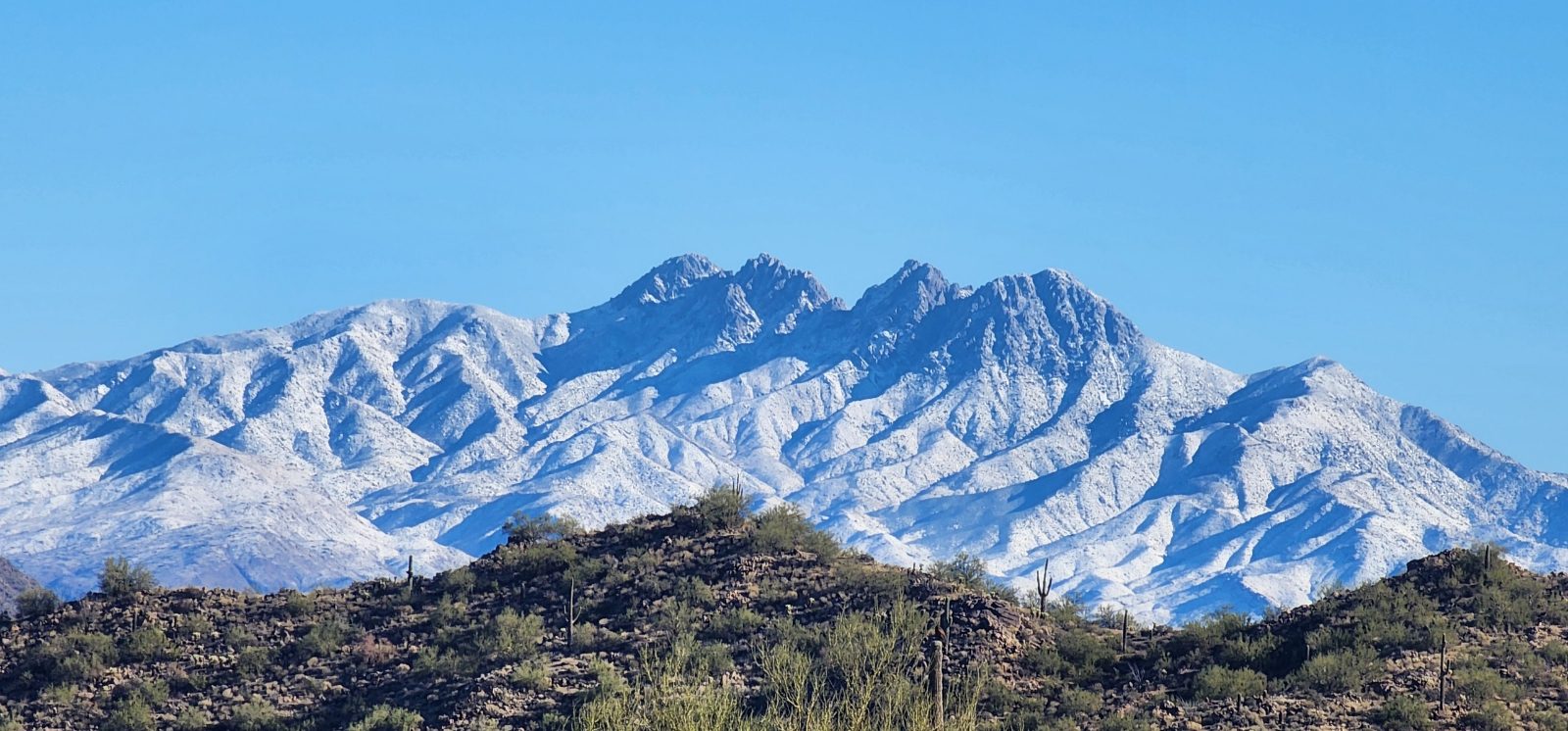 Resized Resized 20240108 102802 1705711588705 1705711686283