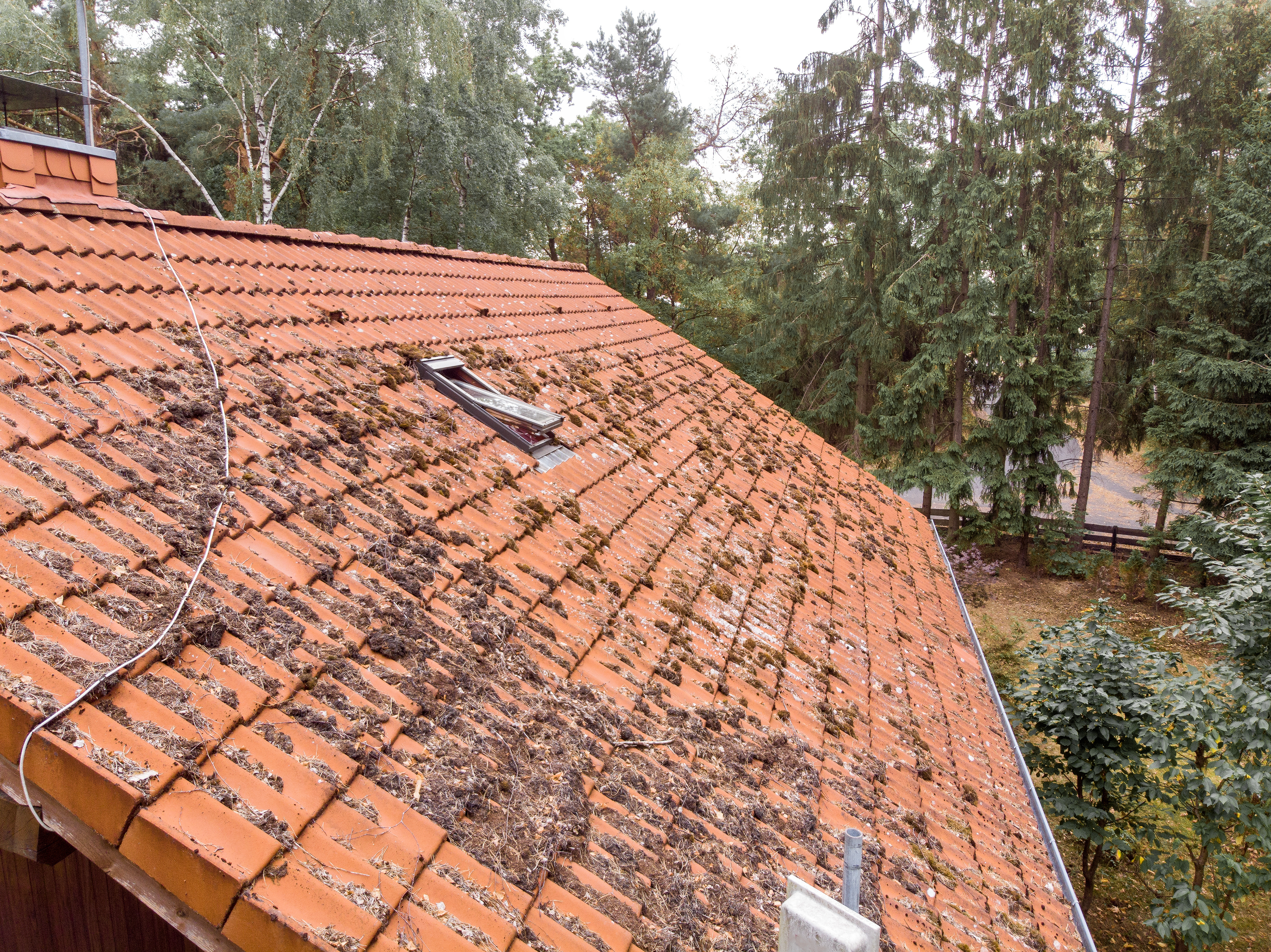 Inspection Of The Red Tiled Roof Of A Single Family House, Inspection Of The Condition Of The Tiles On One Roof Side
